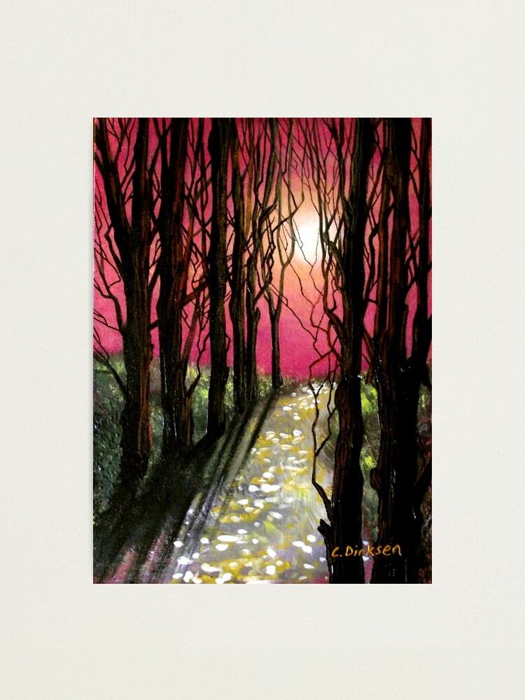 Alternate view of Moonlit Forest Photographic Print