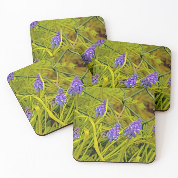 Item preview, OH MUSCARI !  designed and sold by NICK COBURN PHILLIPS.