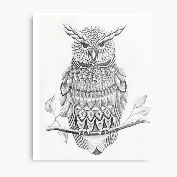 Owl (Ink) Metal Print