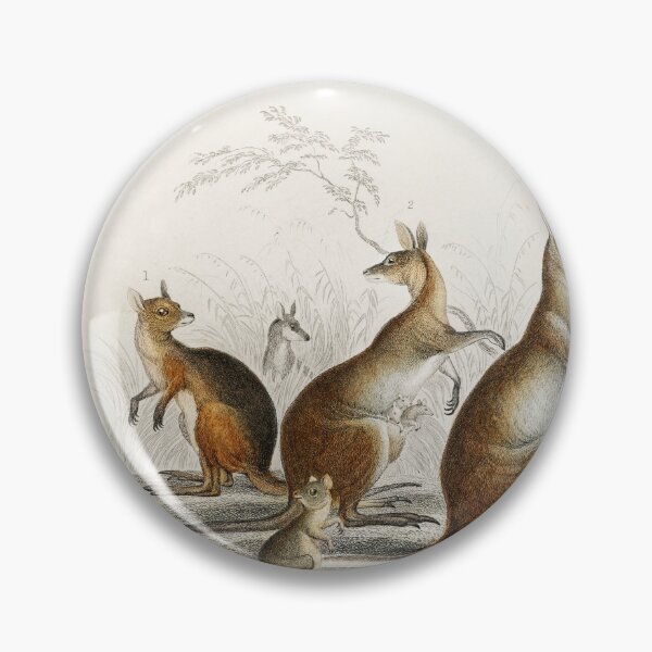 Artikelvorschau, kangaroo species vintage illustration  entworfen und verkauft von Vintage Designs +.