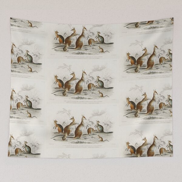 Item preview, kangaroo species vintage illustration  designed and sold by Vintage Designs +.