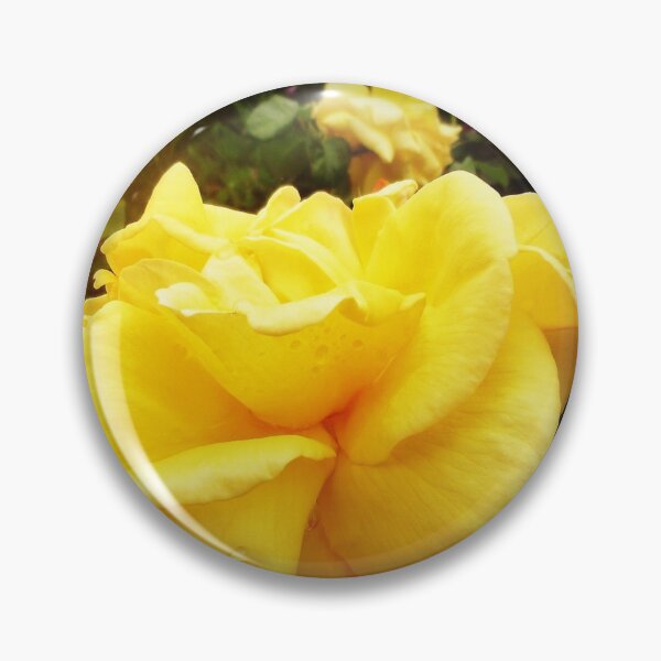 Item preview, "Australian Gold" Rose - Spring 2018 designed and sold by EdsMum.