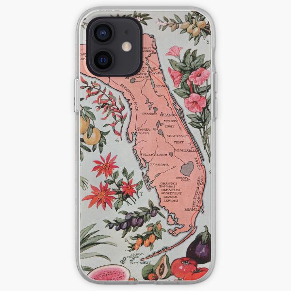 Vintage Map of Florida (1917) iPhone Soft Case