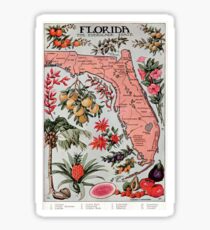 Pegatina Mapa vintage de Florida (1917)