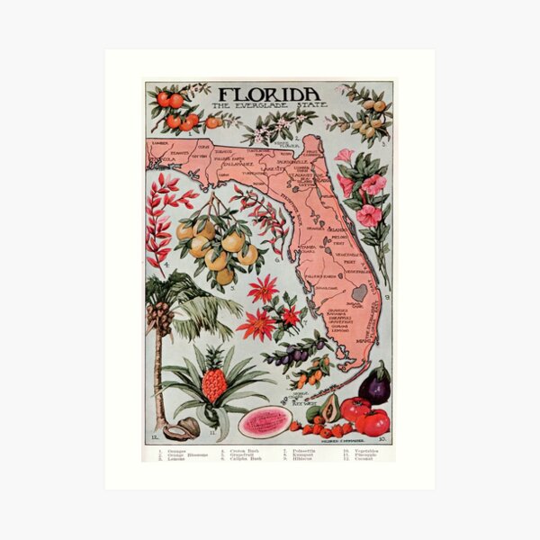 Vintage Map of Florida (1917) Art Print