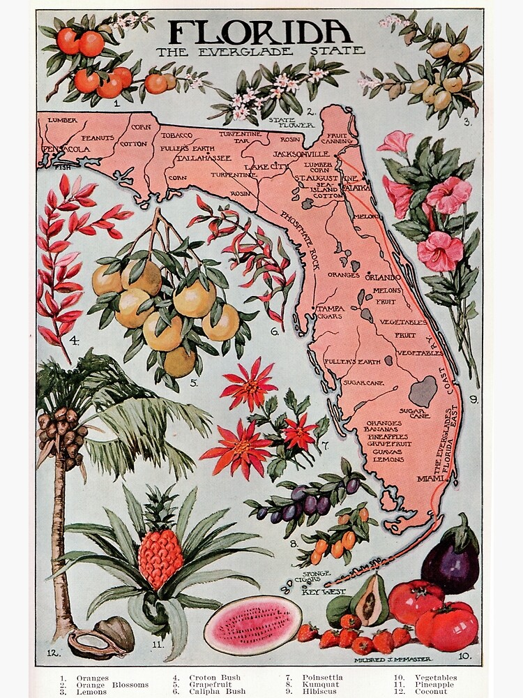 quot Vintage Map of Florida 1917 quot - Flat,750x,075,f Pad,750x1000,f8f8f8 