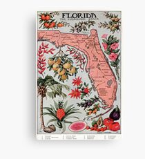 Vintage Karte von Florida (1917) Leinwanddruck