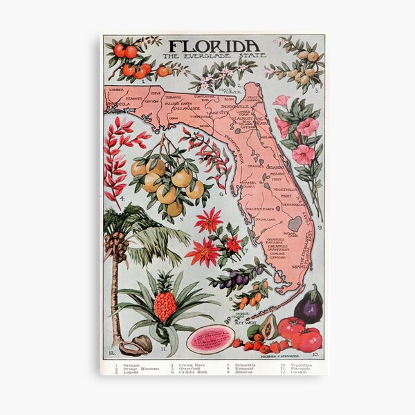 Vintage Map of Florida (1917) Metal Print