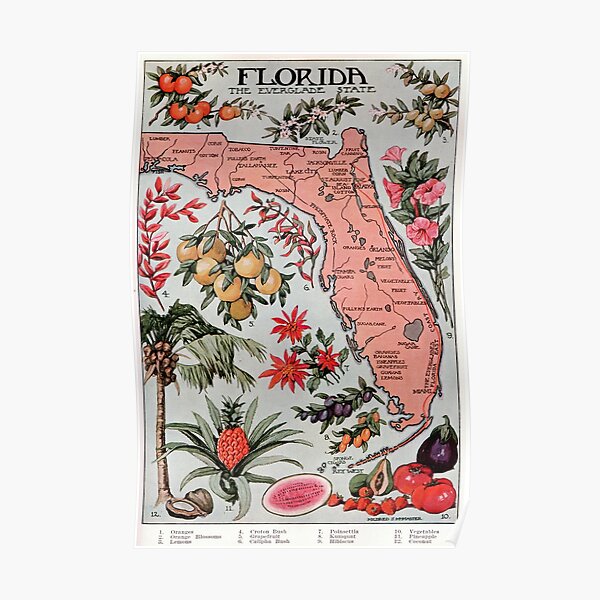 Vintage Map of Florida (1917) Poster