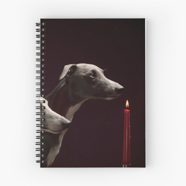 Item preview, Whippet Christmas designed and sold by Dan Shalloe.