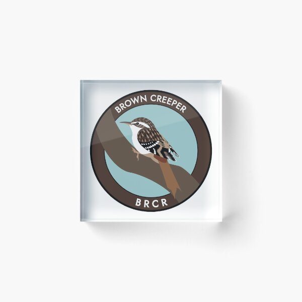 Item preview, Brown Creeper designed and sold by JadaFitch.