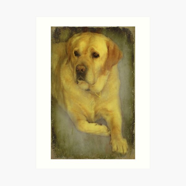 "Any Christmas Treats for ME ?..." Art Print