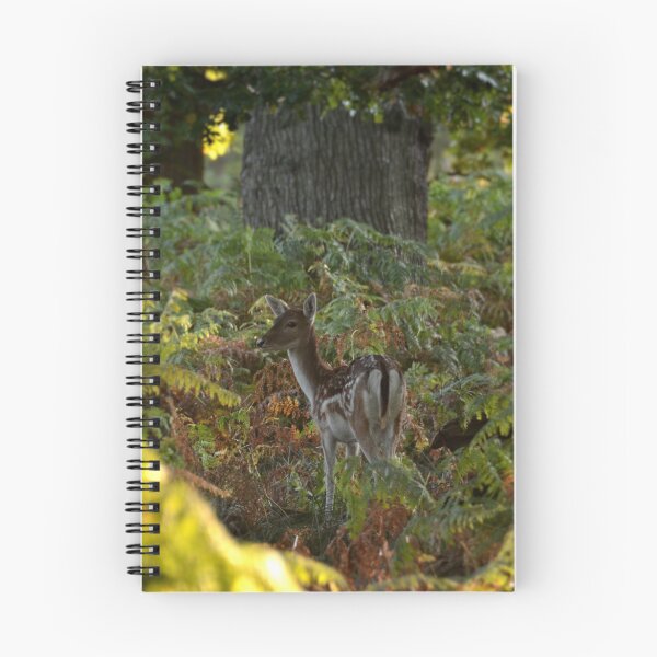 Item preview, roe deer designed and sold by waylander99uk.