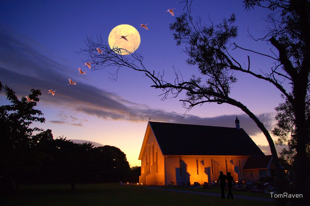 Shadow of the moon blackmore s. Blackmore's Night Shadow of the Moon.