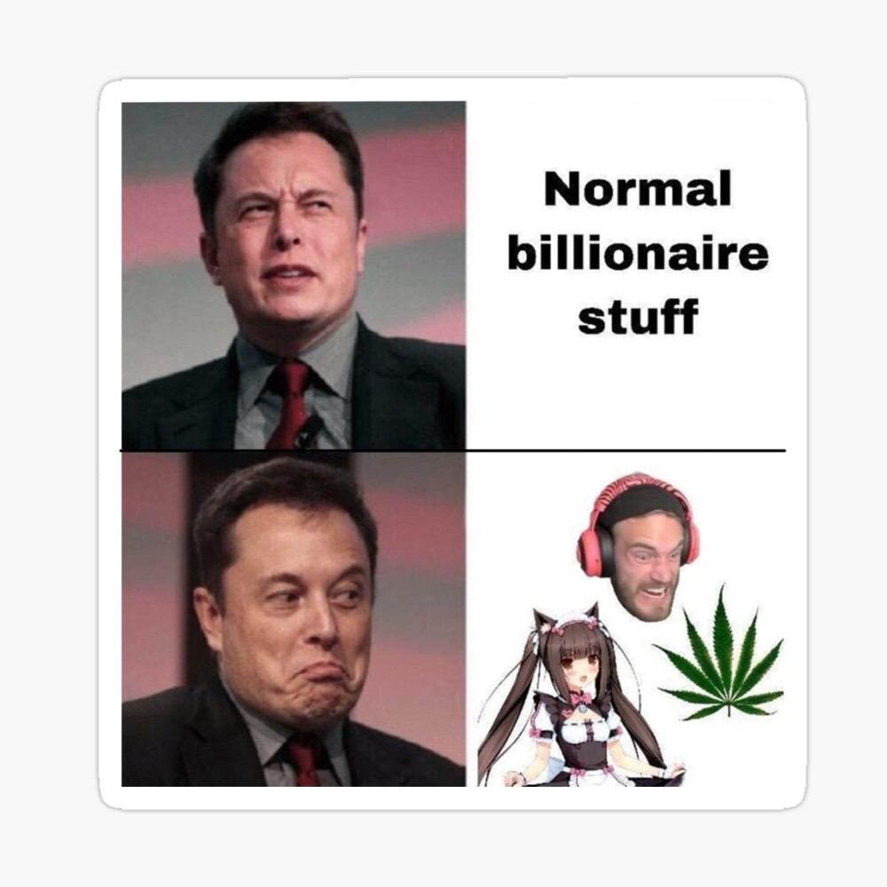 Elon Musk's Strange Obsession: Will He Really Create Cat Girl Sex Robots? -  Floppycats™