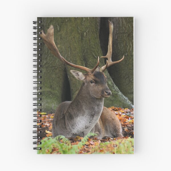 Item preview, stag designed and sold by waylander99uk.