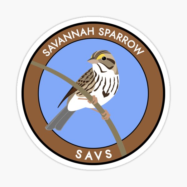 Savannah Sparrow Sticker