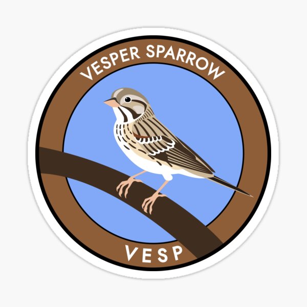 Vesper Sparrow Sticker