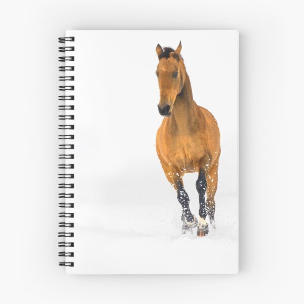 Item preview, Golden horse in snow designed and sold by Dan Shalloe.