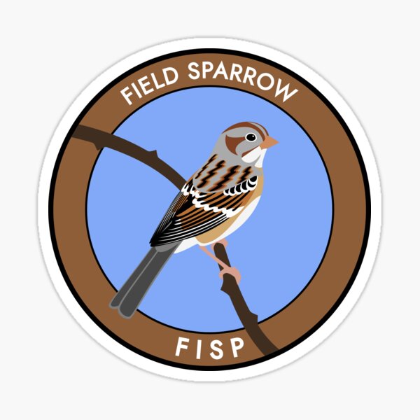 Field Sparrow Sticker