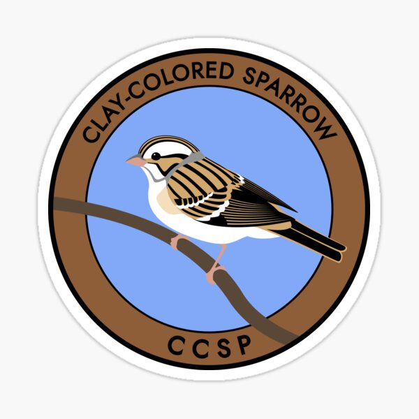 Clay-colored Sparrow Sticker
