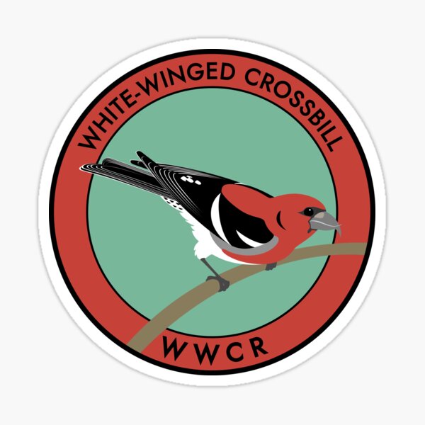 White-winged Crossbill Sticker