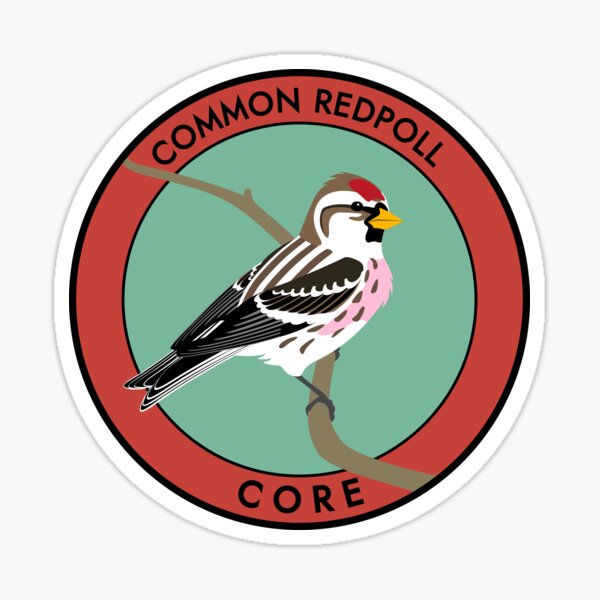 Common Redpoll Sticker