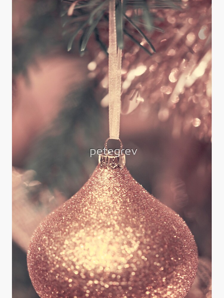 Day 162 - 19th December 2011 by petegrev