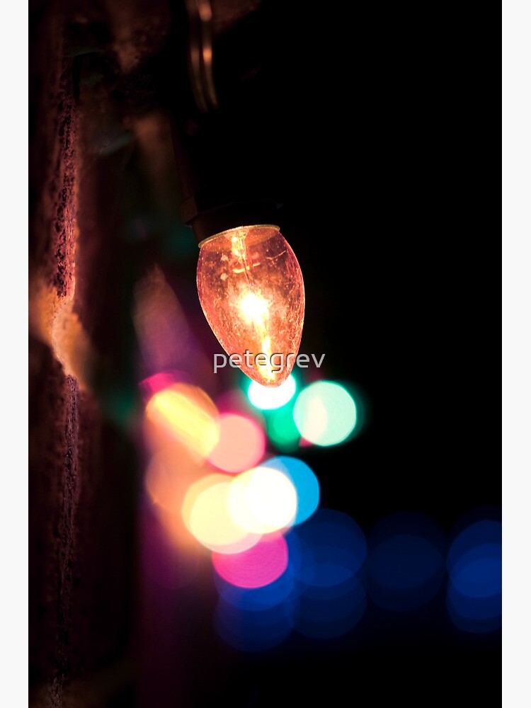 Day 164 - 21st December 2011 by petegrev