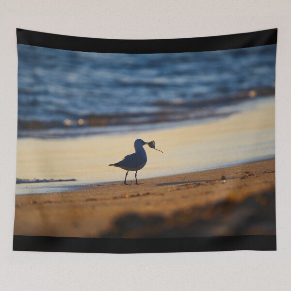 Item preview, A Seagull Silhouette At Dawn designed and sold by Jason Gilbert.