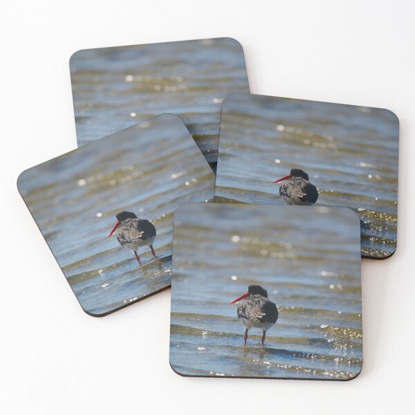 Item preview, An Oyster Catcher Hunting In The shallows designed and sold by Jason Gilbert.