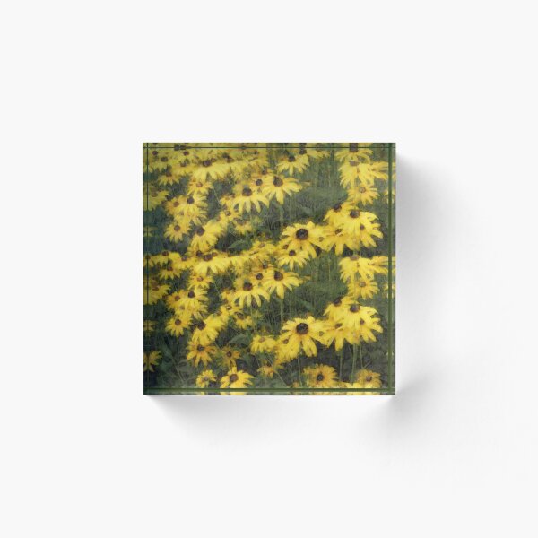 Item preview, Yellow daisies designed and sold by Roberta Angiolani.