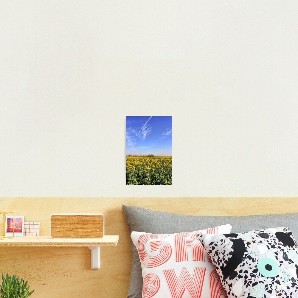 Item preview, Photographic Print designed and sold by ViczS.