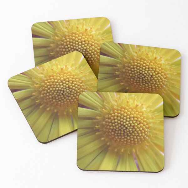 Aperçu de l'œuvre Fleur jaune qui brille partout créée et vendue par StephanieCAD.