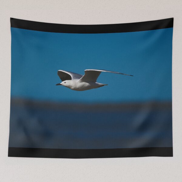 Item preview, A Seagull Gliding Across The Shore designed and sold by Jason Gilbert.