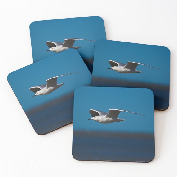 Item preview, A Seagull Gliding Across The Shore designed and sold by Jason Gilbert.