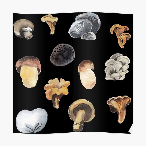 Mushrooms Watercolor Hand Drawing - Vegan Forest Life Poster
