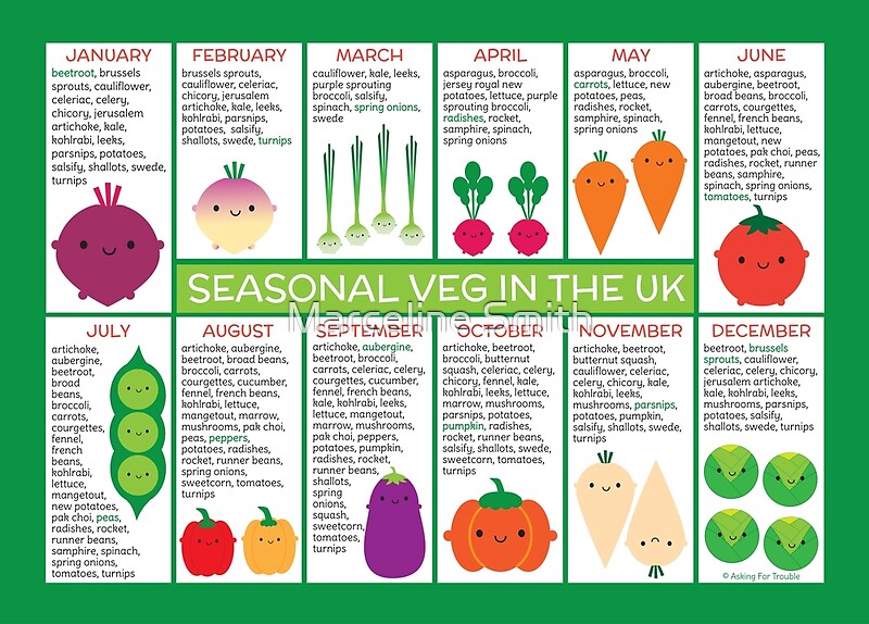 Uk Seasonal Vegetables Chart By Marceline Smith Redbubble