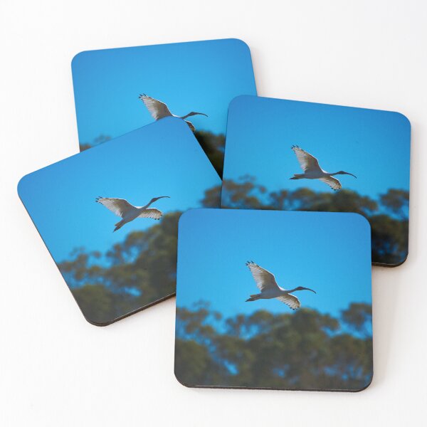 Item preview, An Ibis Gliding Over The Wetlands Of Mandurah. Western Australia designed and sold by Jason Gilbert.