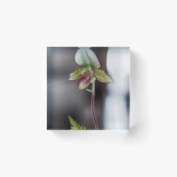 Item preview, Standing Alone Orchid designed and sold by ishotit4u.