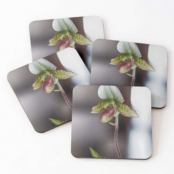 Item preview, Standing Alone Orchid designed and sold by ishotit4u.