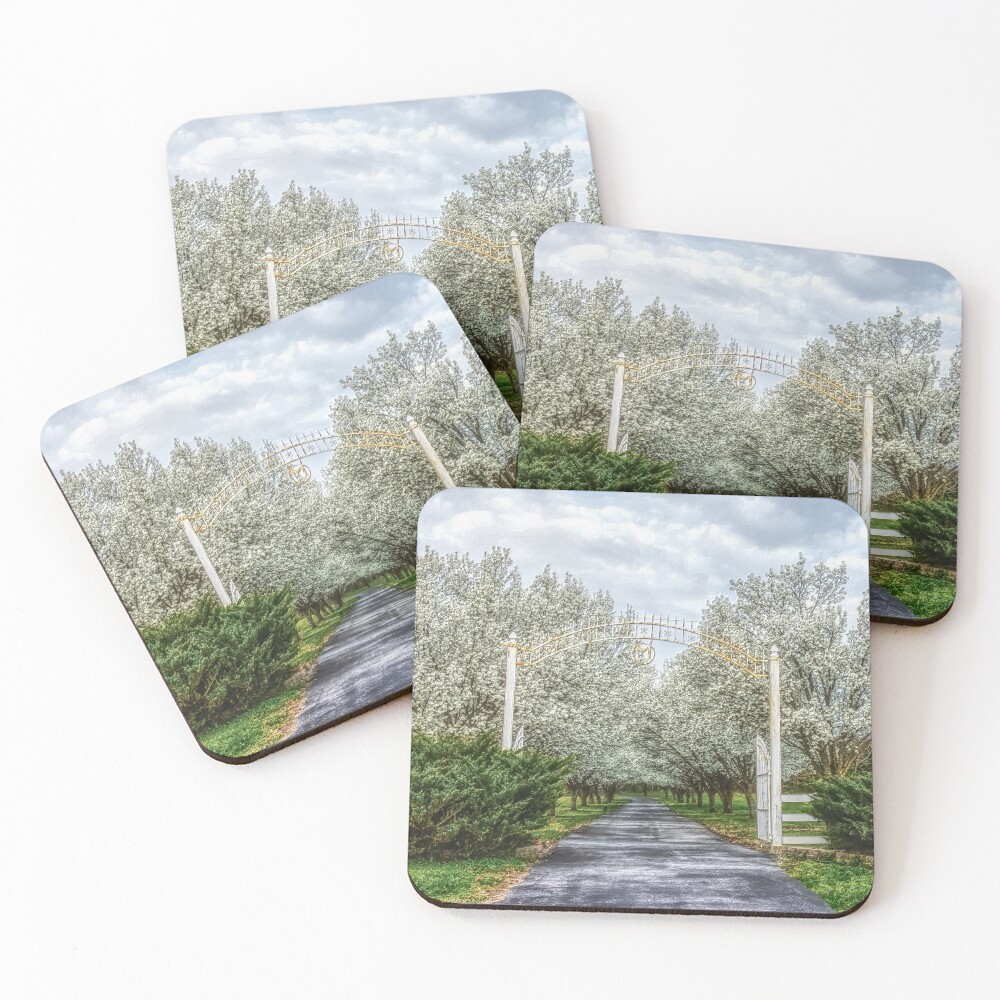 Item preview, Coasters (Set of 4) designed and sold by mljdwhite.