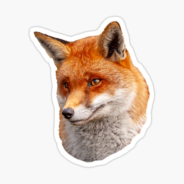 Item preview, Thoughtful Fox designed and sold by OwlOccasions.