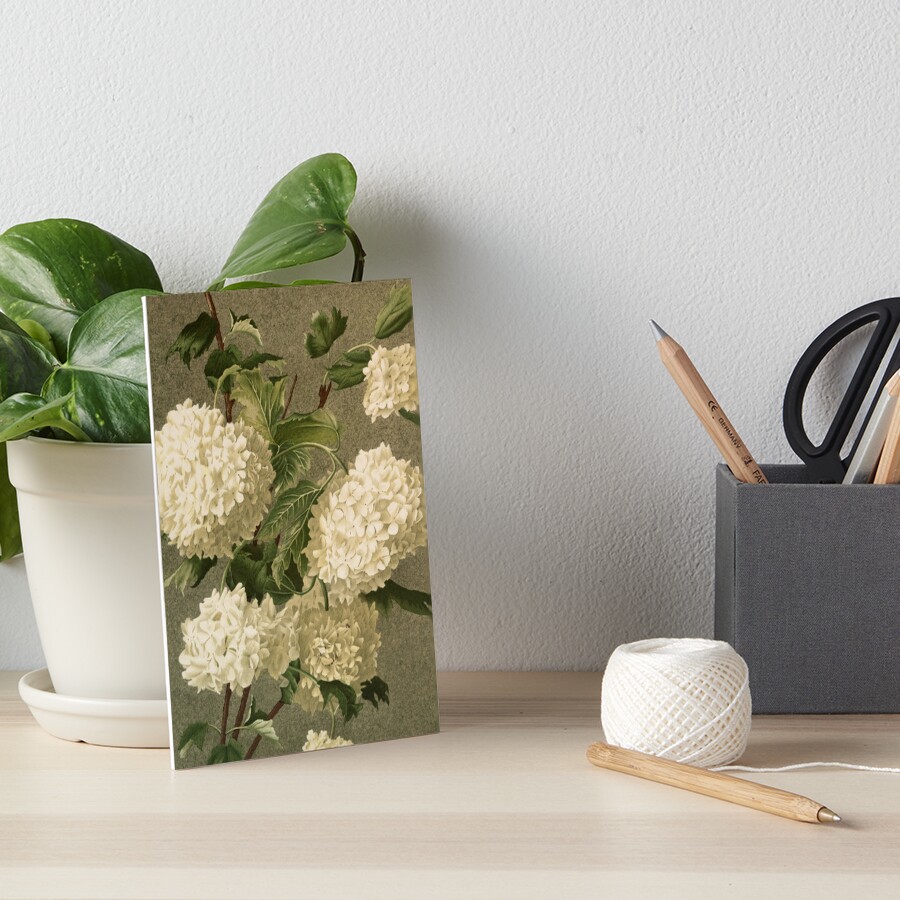 Item preview, Art Board Print designed and sold by roseofgold.
