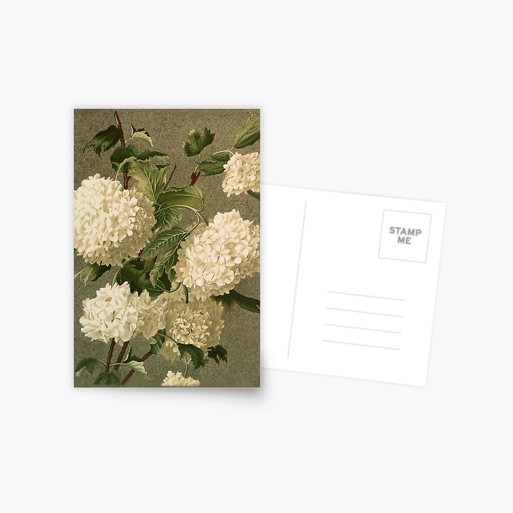 Item preview, Postcard designed and sold by roseofgold.