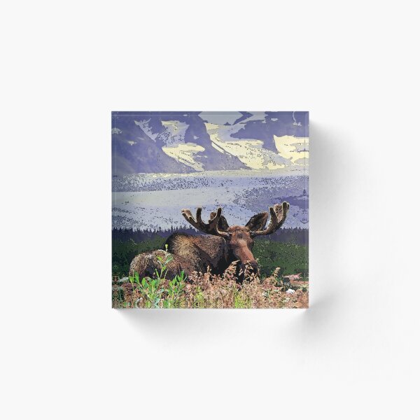 Glacier Moose Acrylic Block