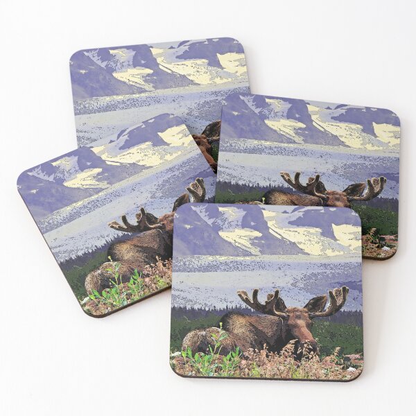 Glacier Moose Coasters (Set of 4)