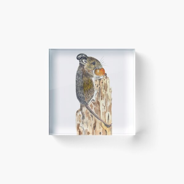 Item preview, Field Mouse with Acorn designed and sold by Sonoran Glimmer.