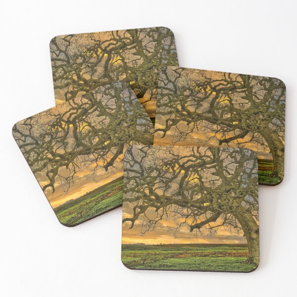 Item preview, Dawn Images designed and sold by jjohnsueb.