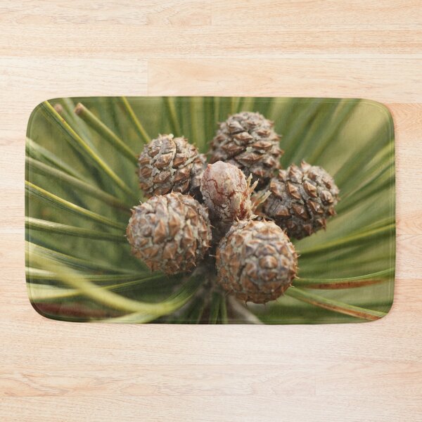 Item preview, Nature, tree, needles, cones, photography, BebiCervin designed and sold by BebiCervin.